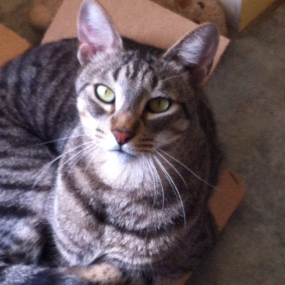 Meet your Posher, April